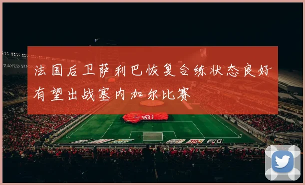 法国后卫萨利巴恢复合练状态良好有望出战塞内加尔比赛